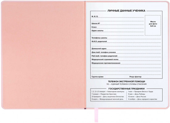 Дневник школьный «Pink»