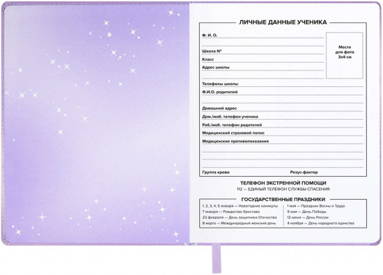 Дневник школьный