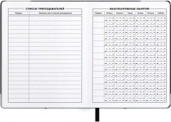 Дневник школьный «Иван Царевич» - Фото 4