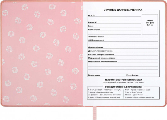 Дневник школьный «Мишка в плаще»