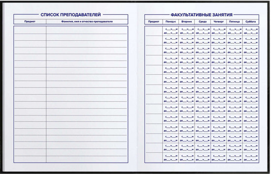 Дневник школьный «Девушка панк»