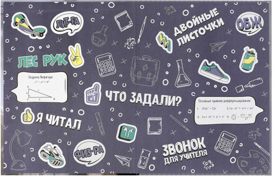 Дневник школьный «Шатенка с котенком»