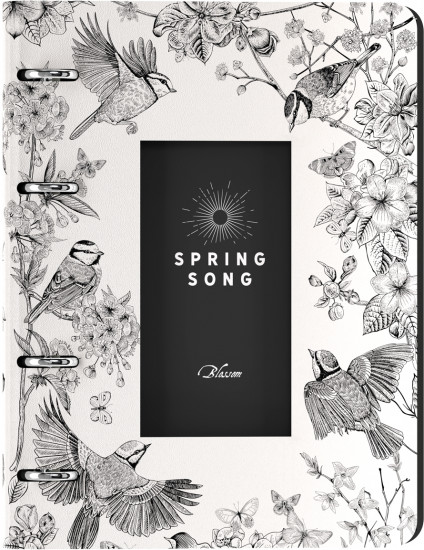 Тетрадь на кольцах «Spring Song»