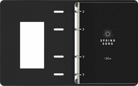Тетрадь на кольцах «Spring Song»