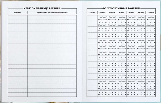 Дневник школьный «Глобус»