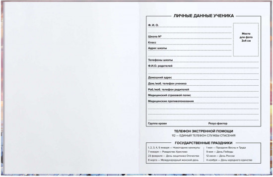 Дневник школьный «Романтика на закате»