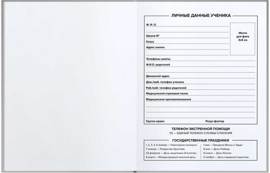 Дневник школьный «Цитата дня»