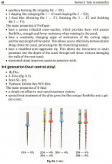 Preclinical course of dentistry. Part 3. Endodontology - Фото 5