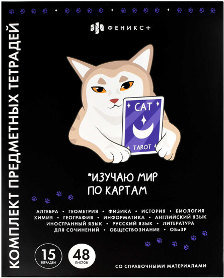Комплект тетрадей предметных