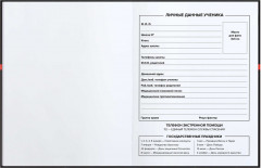 Дневник школьный «Фразы с характером» - Фото 3