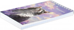 Блокнот «Кот и лаванда» - Фото 1