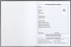 Дневник школьный «Астральный кот» - Фото 3