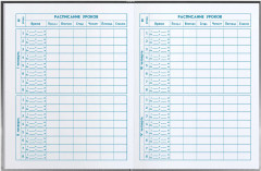 Дневник школьный «Красотка» - Фото 5