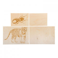 Доски для выжигания «Жук-олень и тигр» - Фото 1