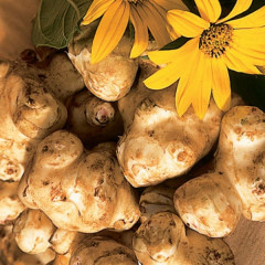 Порошок топинамбура - Фото 2