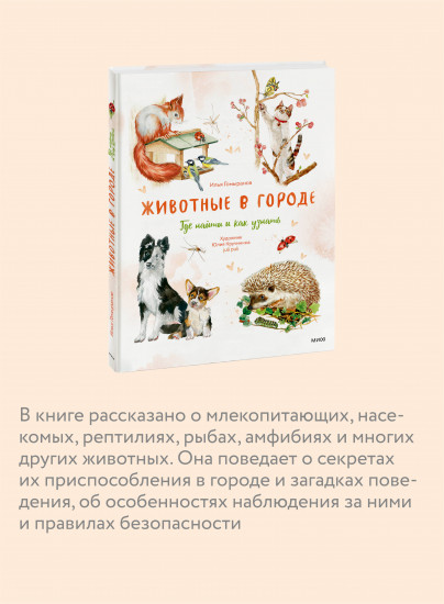 Животные в городе. Где найти и как узнать