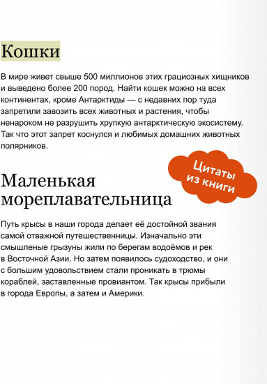 Животные в городе. Где найти и как узнать