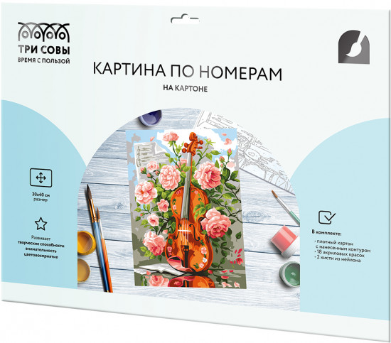 Картина по номерам «Скрипка»