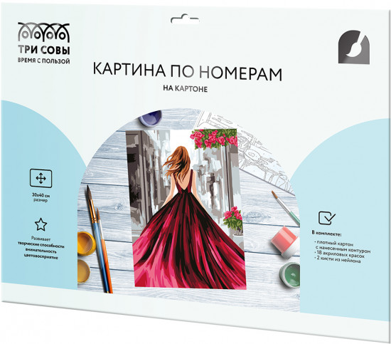 Картина по номерам «Девушка в вечернем платье»