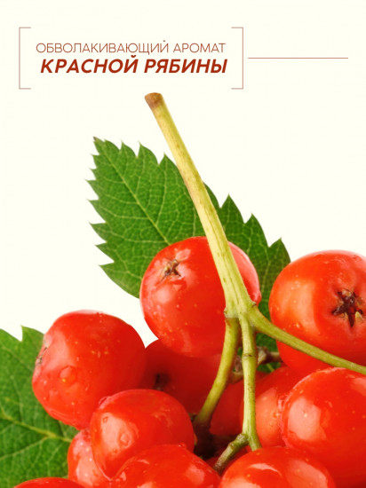 Шампунь для волос «Молодость и объем. Красная рябина»