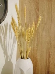 Набор декоративных сухоцветов «Рожь» - Фото 1