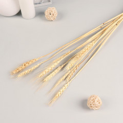 Набор декоративных сухоцветов «Рожь» - Фото 2