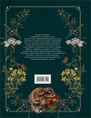 Подарок зелёной ведьме и травнице! Комплект из книги, блокнота и закладок - Фото 5