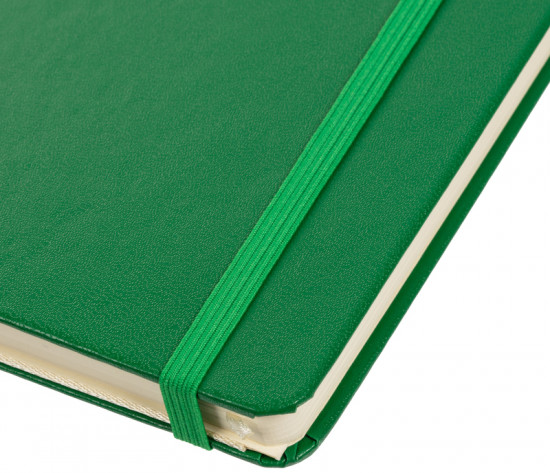 Ежедневник недатированный «Diary»
