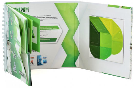 Игра-головоломка магнитная «Листик»