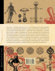 Основы медицины, о которых пора забыть - Фото 1