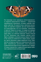 Бабочки. Иллюстрированный гид - Фото 1