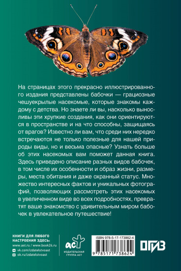 Бабочки. Иллюстрированный гид