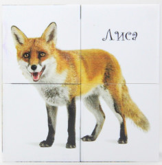 Кубики пластиковые «Лесные животные» - Фото 1