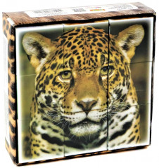 Кубики пластиковые «Дикие кошки» - Фото 1