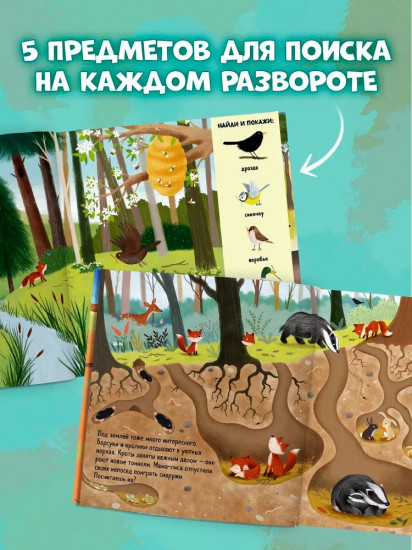 Найди и покажи. Животные в лесу
