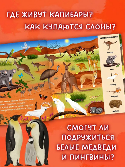 Найди и покажи. Животные со всего мира