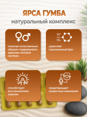 Капсулы «Yarsagumba» - Фото 1