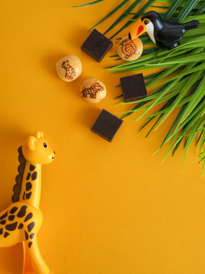 Печенье с шоколадом Choco Boy Safari