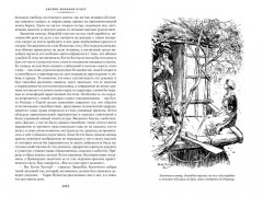 Зверобой. Последний из могикан. Следопыт - Фото 5