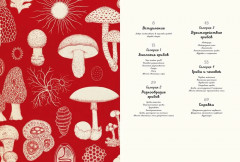 Энциклопедия про грибы. Грибариум - Фото 1