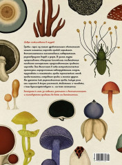 Энциклопедия про грибы. Грибариум - Фото 5