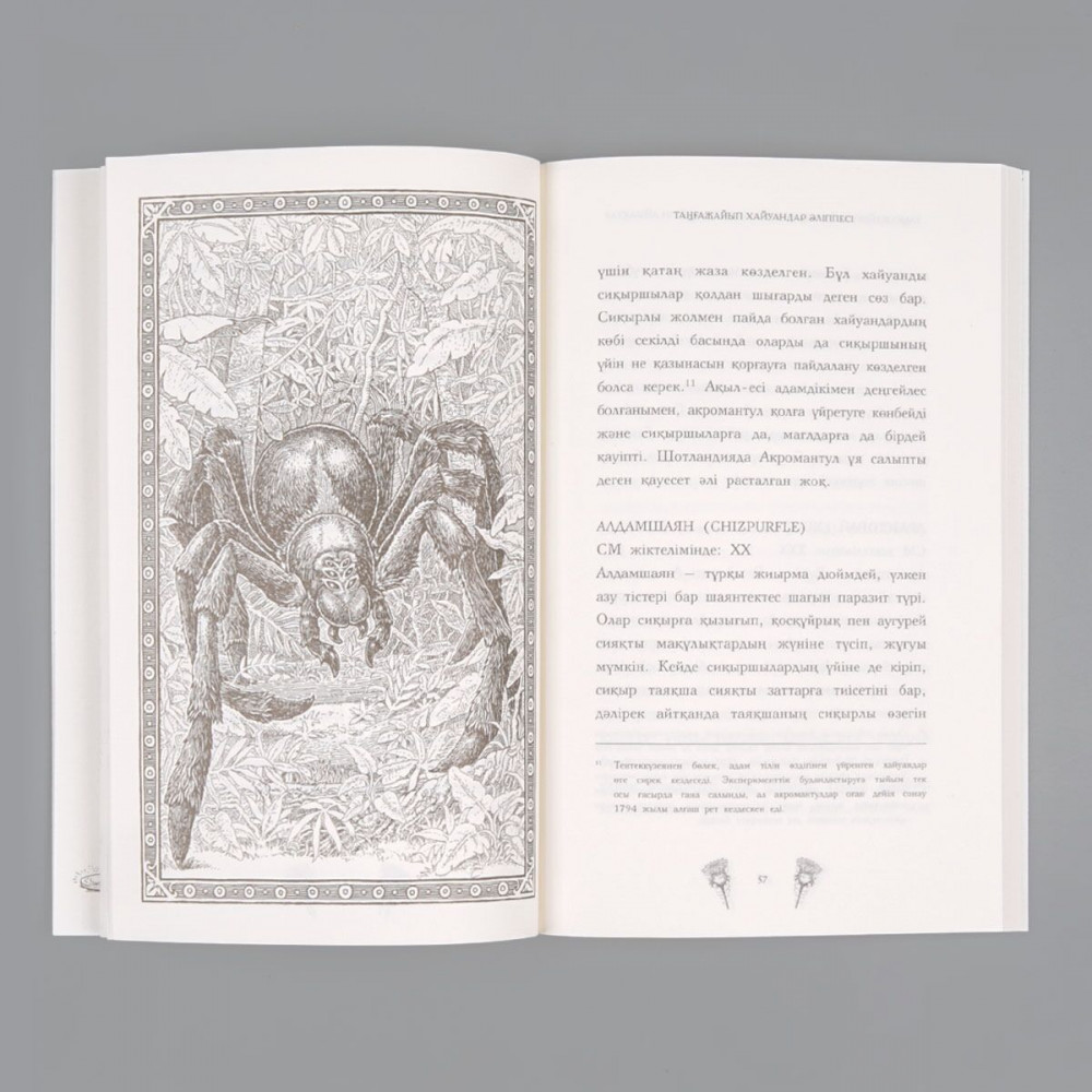 Орыс Машаның трахниясы туралы видео Подольск минет машинада