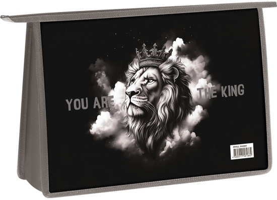 Папка для уроков труда «King»