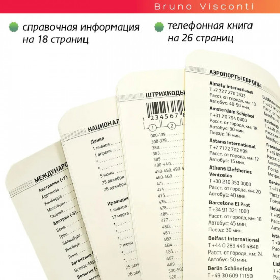 Ежедневник недатированный