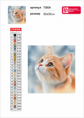 Мозаика алмазная «Рыжий котенок» - Фото 3