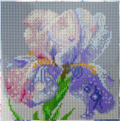 Мозаика алмазная с подрамником «Ирис» - Фото 3