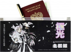 Папка для документов «Принцесса севера» - Фото 1