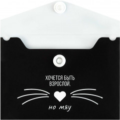 Папка для карт и визиток - Фото 1