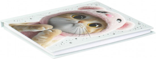 Блокнот Notebook «Кот в капюшоне»