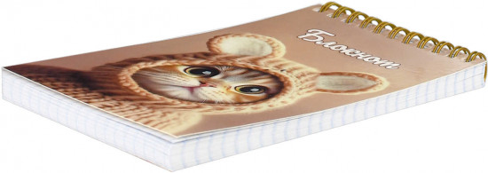 Блокнот «Котенок в шапочке»
